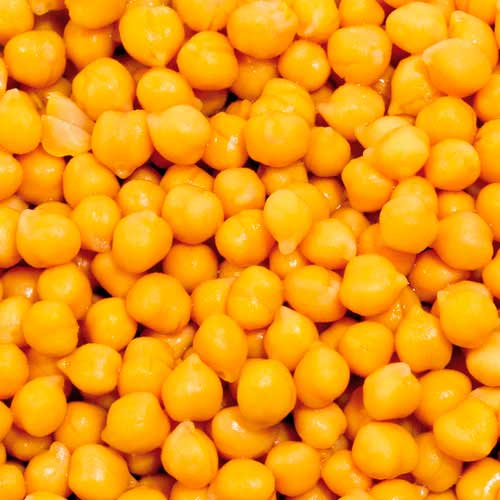 Organic Balance Organic chick peas