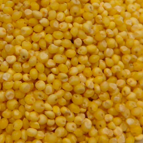 Organic Balance Organic yellow millet