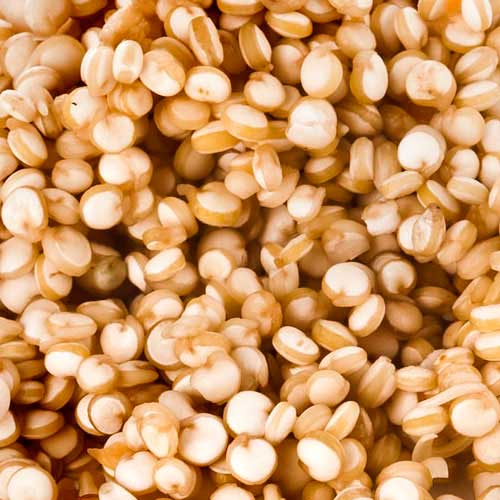 Organic Balance Organic quinoa