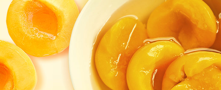 Spring Sun apricot